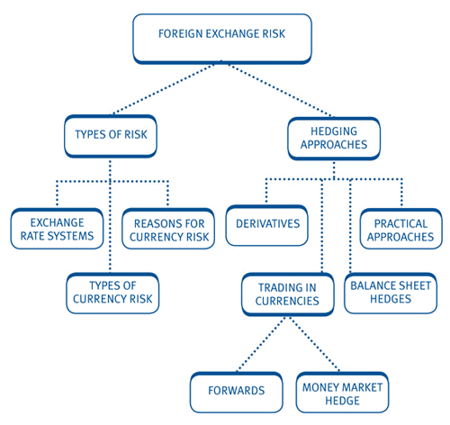 what is foreign exchange risk pdf