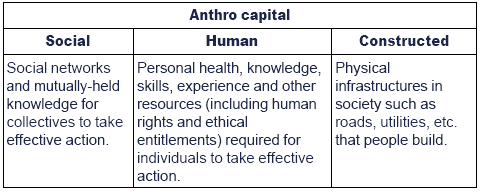 primary economic activity examples