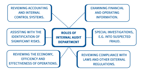 Audit Of Internal Controls Program