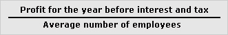 Profit per employee ratio